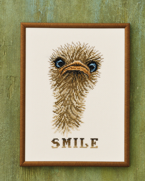 Broderikit "Smile" struds 18x24 cm R5703