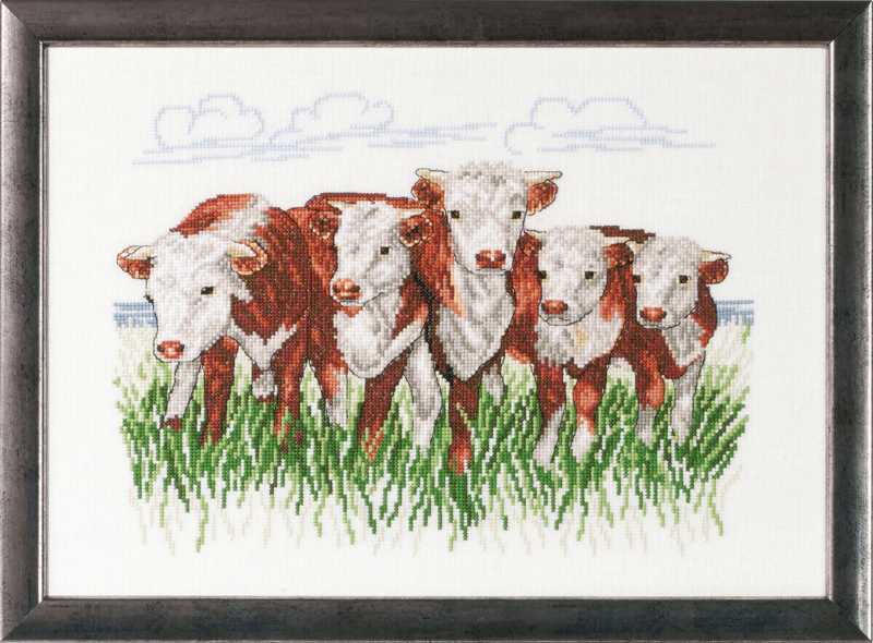 Broderikit Hereford køer R/5344 41 x 29 cm