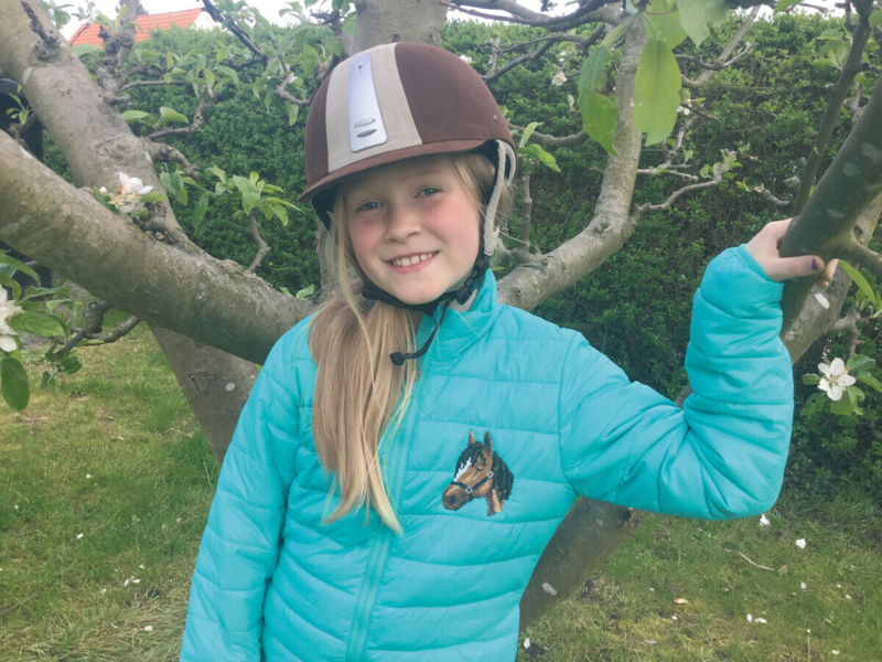 Broderikit Hestehoved 7 x 9 cm