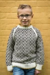 Mønstersweater med kontrastkant i Mayflower Easy Care Classic