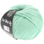 Cool Wool Big 978 Pastel Grøn