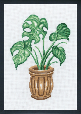 Broderikit Monstera R5601 20 x 29 cm
